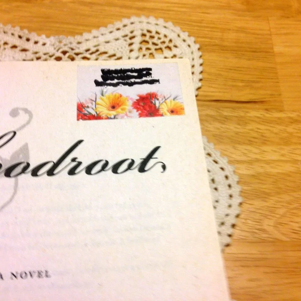 Book Sale! 3 for $10! Magic, Faith, Madness, Bloodroot